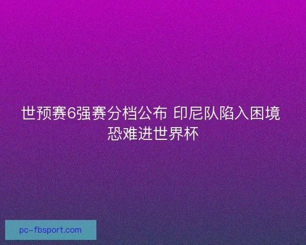 世预赛6强赛分档公布 印尼队陷入困境 恐难进世界杯